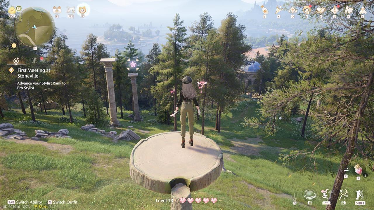 Memorial Mountains Whimstar #5