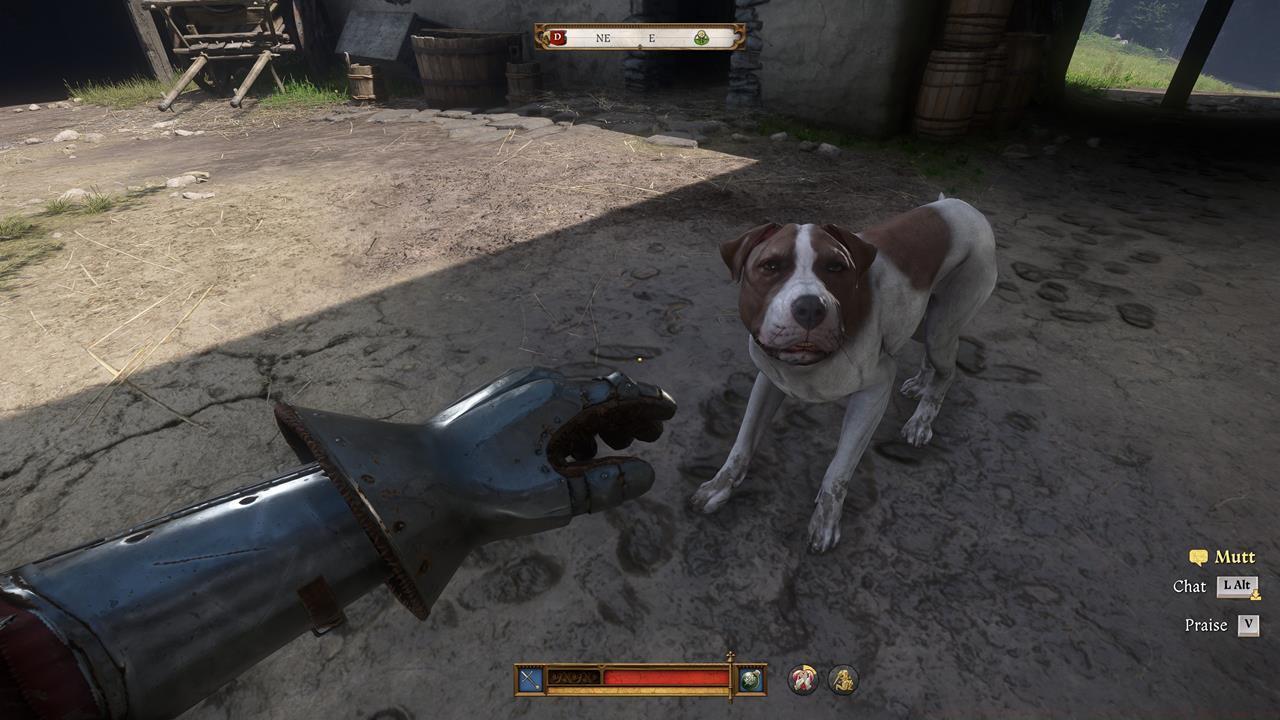 How to increase Mutt's obedience