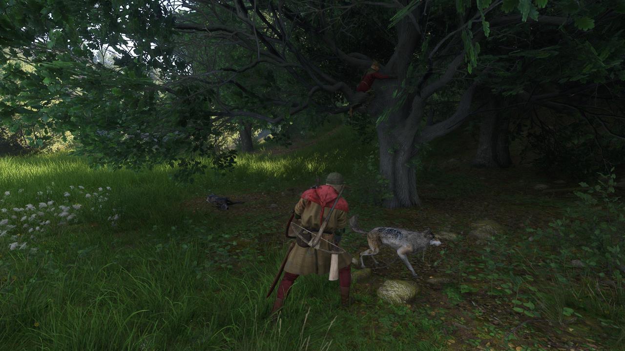 Vostatek and the wolves