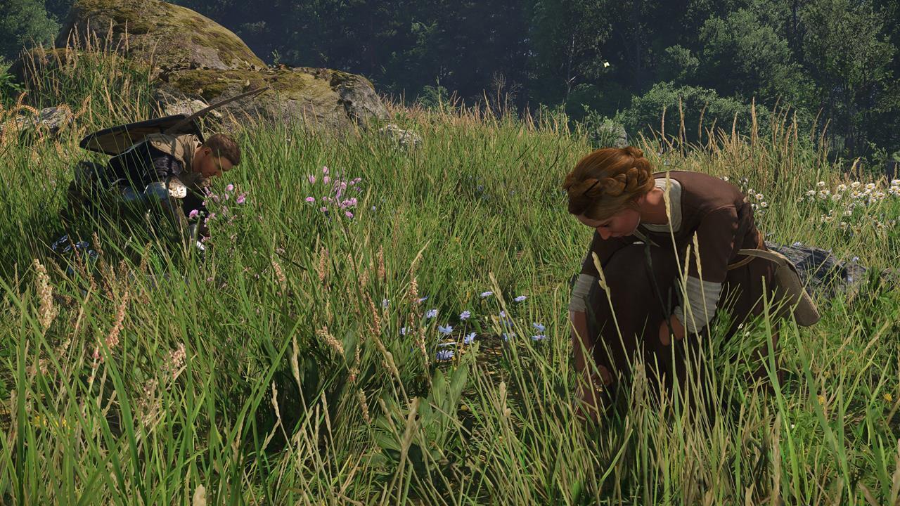 Part 1A: Back in the Saddle - Gathering herbs at the glade