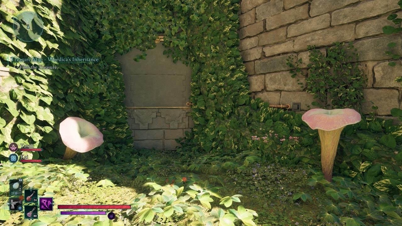 Press the button near the pipe to open the wall.