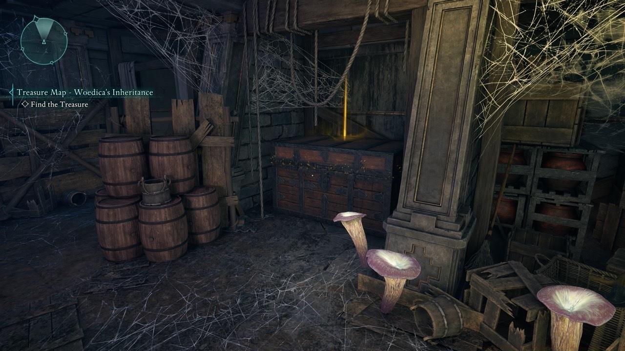 The Gloves of the Strangler are inside the chest.