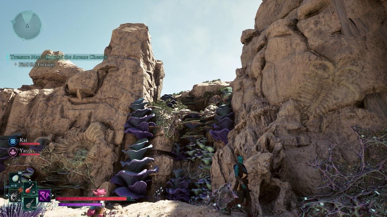 The cave is above the coral shown here.