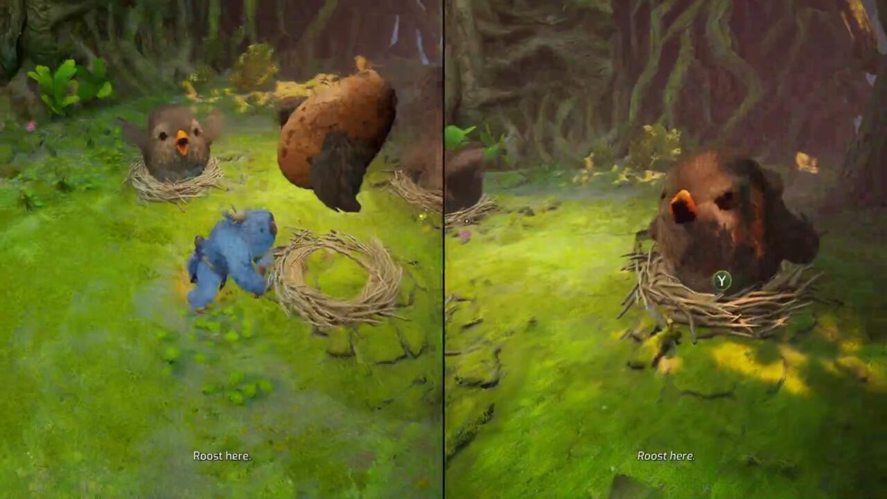 The cute bird family in the Underlands