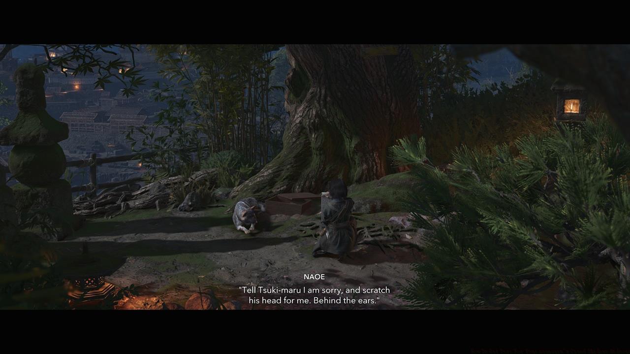 Animal companions from quests