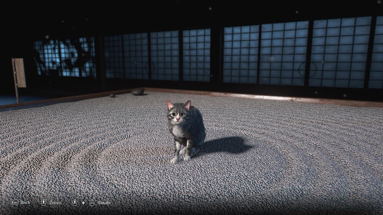 How to add animals to your hideout