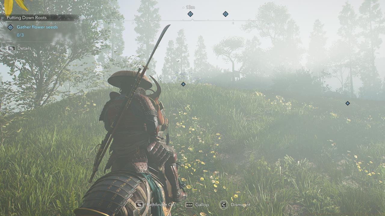 Quest 3: Putting Down Roots