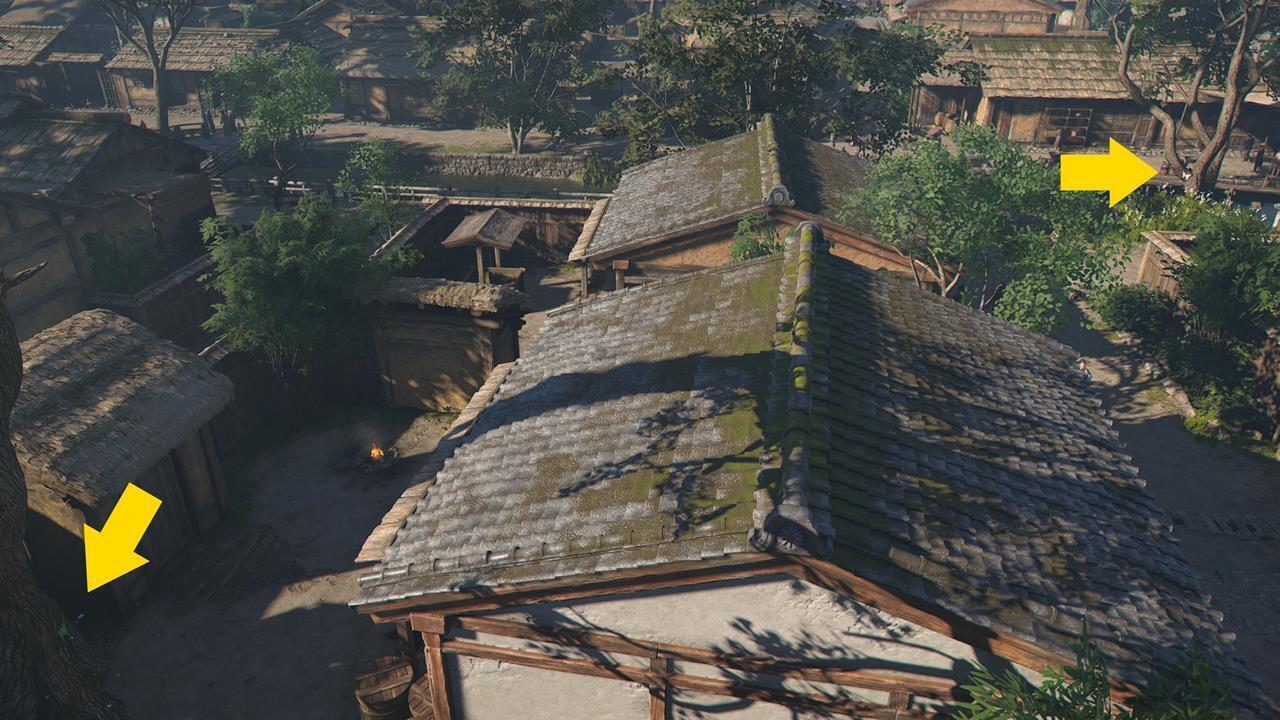 Green Origami Butterfly and Letter to Richo