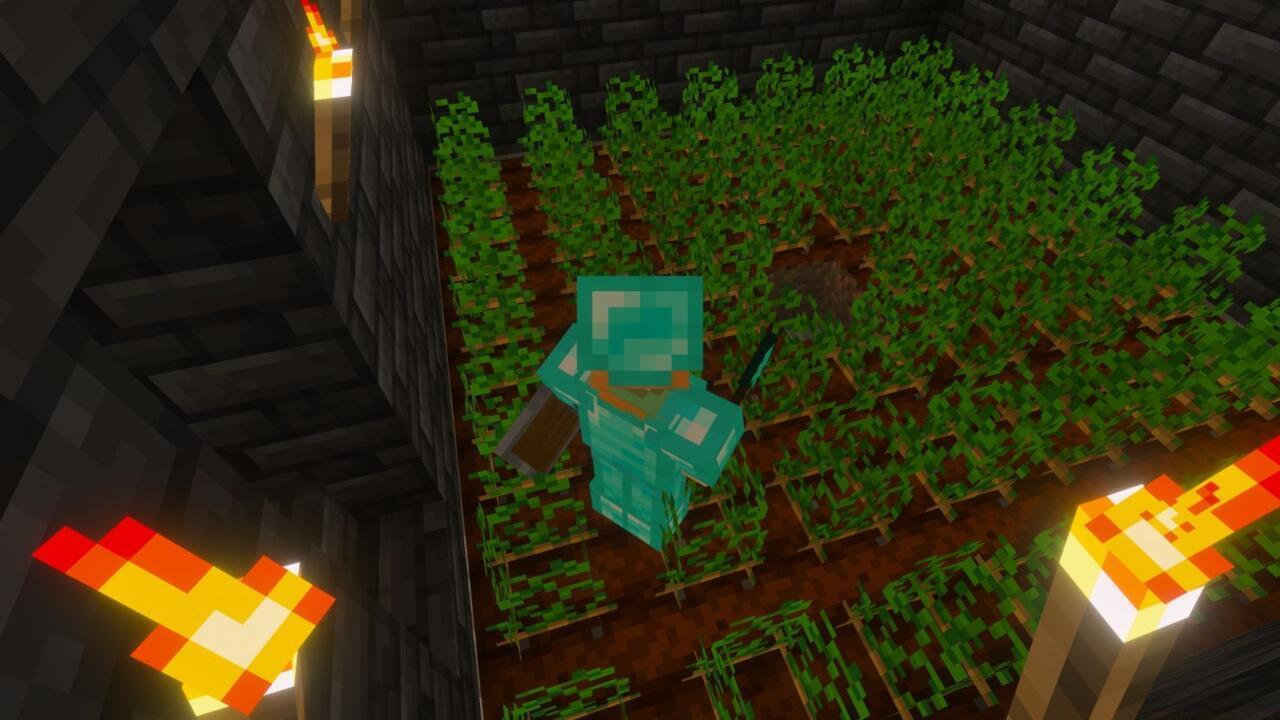 Indoor farming with potato crops using torches as light