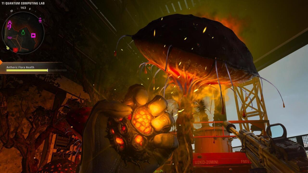 Charge the cyst with mushrooms