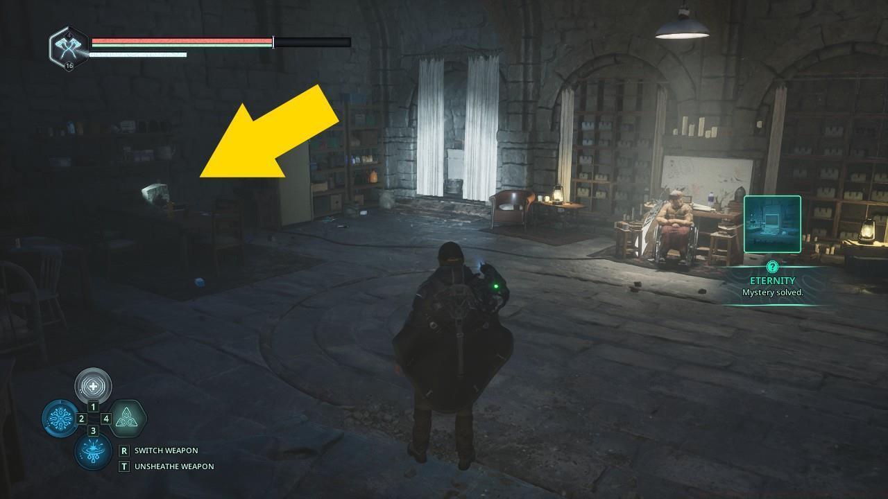 How to access the Watcher's Nest computer