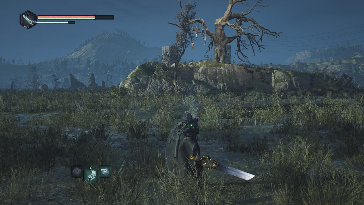 Acasa Marshes: Love Thy Neighbor