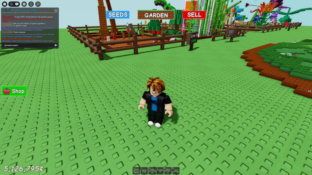 The command for entering codes has changed and now uses the default chat interface.