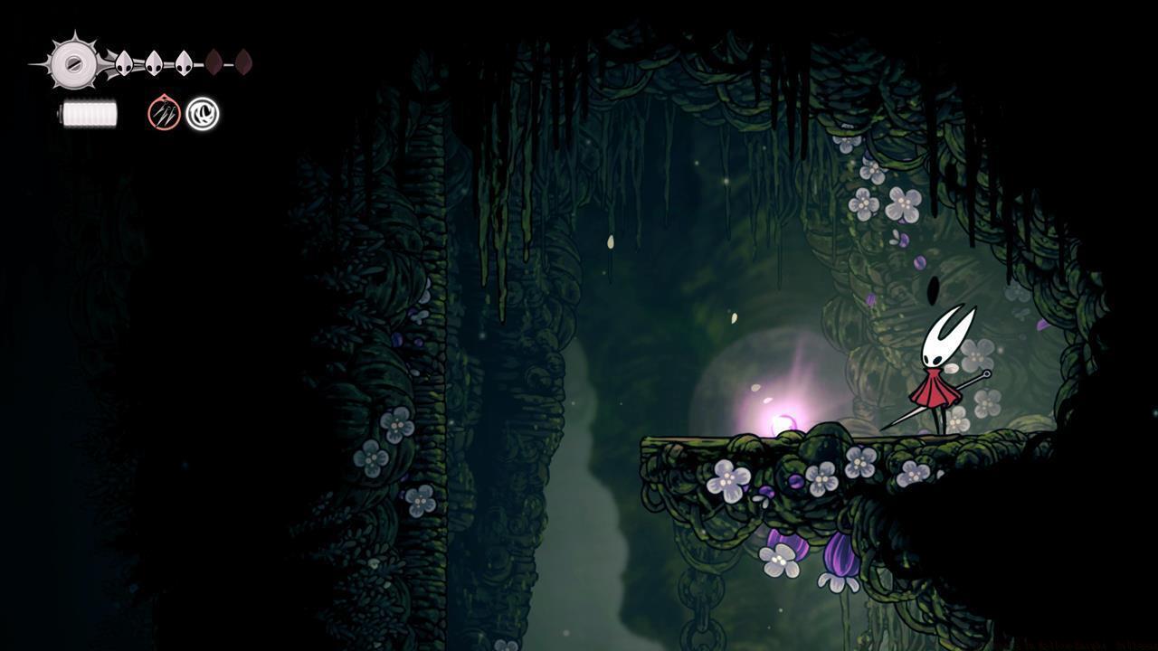 Pollip Heart location #1