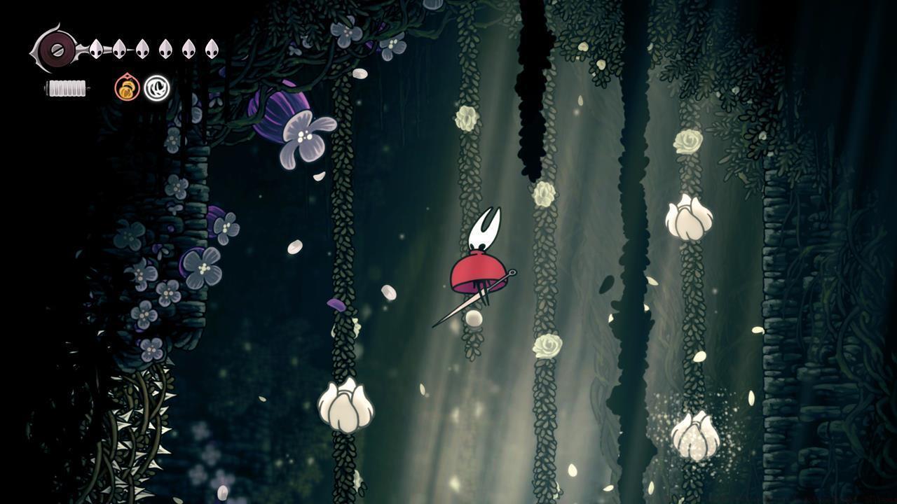 Pollip Heart location #4