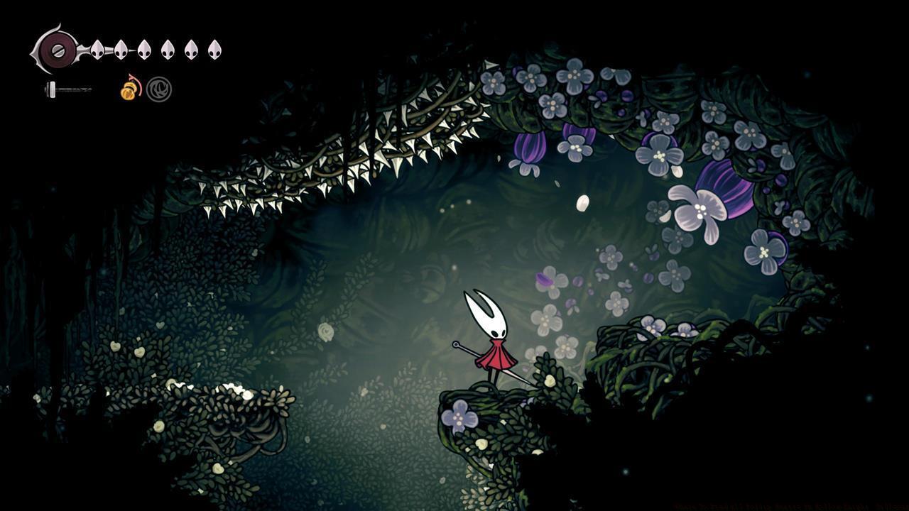 Pollip Heart location #5