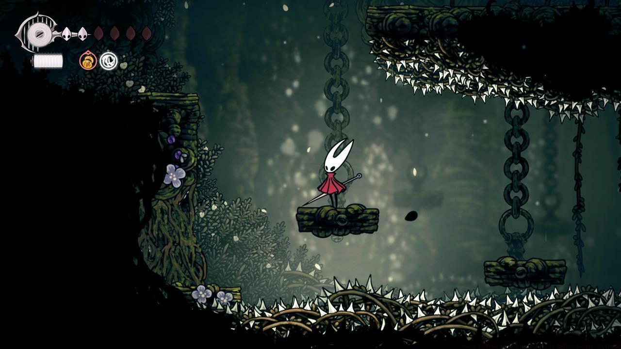 Pollip Heart location #6