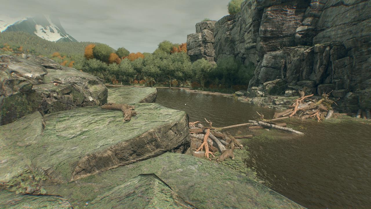 Beaver Branch location #1