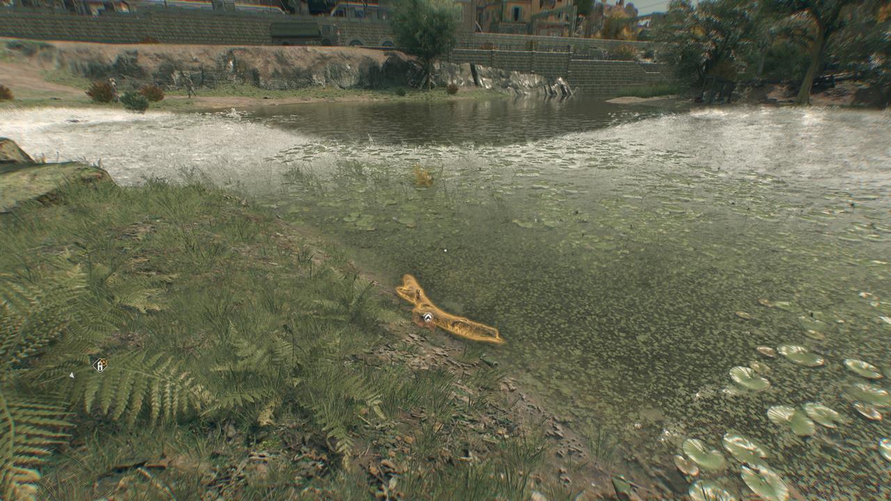 Beaver Branch location #5