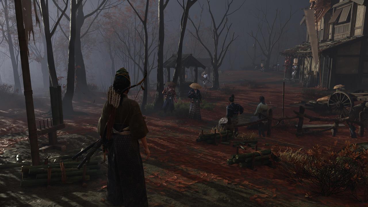 Ishikari Plain Bamboo Strike location #2