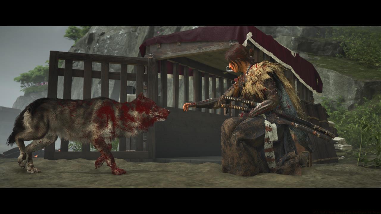 Wolf Den activity final rewards