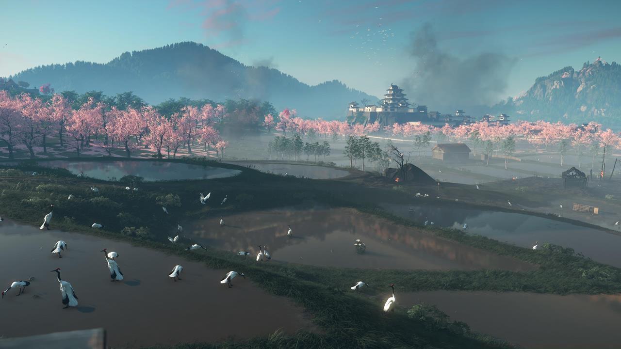 Oshima Coast Sumi-e Painting location #1: Lost Flight Sumi-e