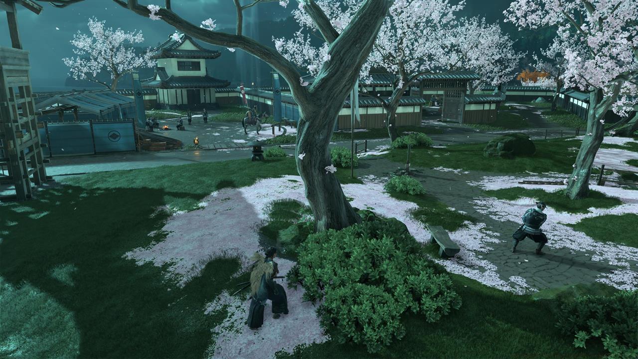 Oshima Coast Bamboo Strike location #2