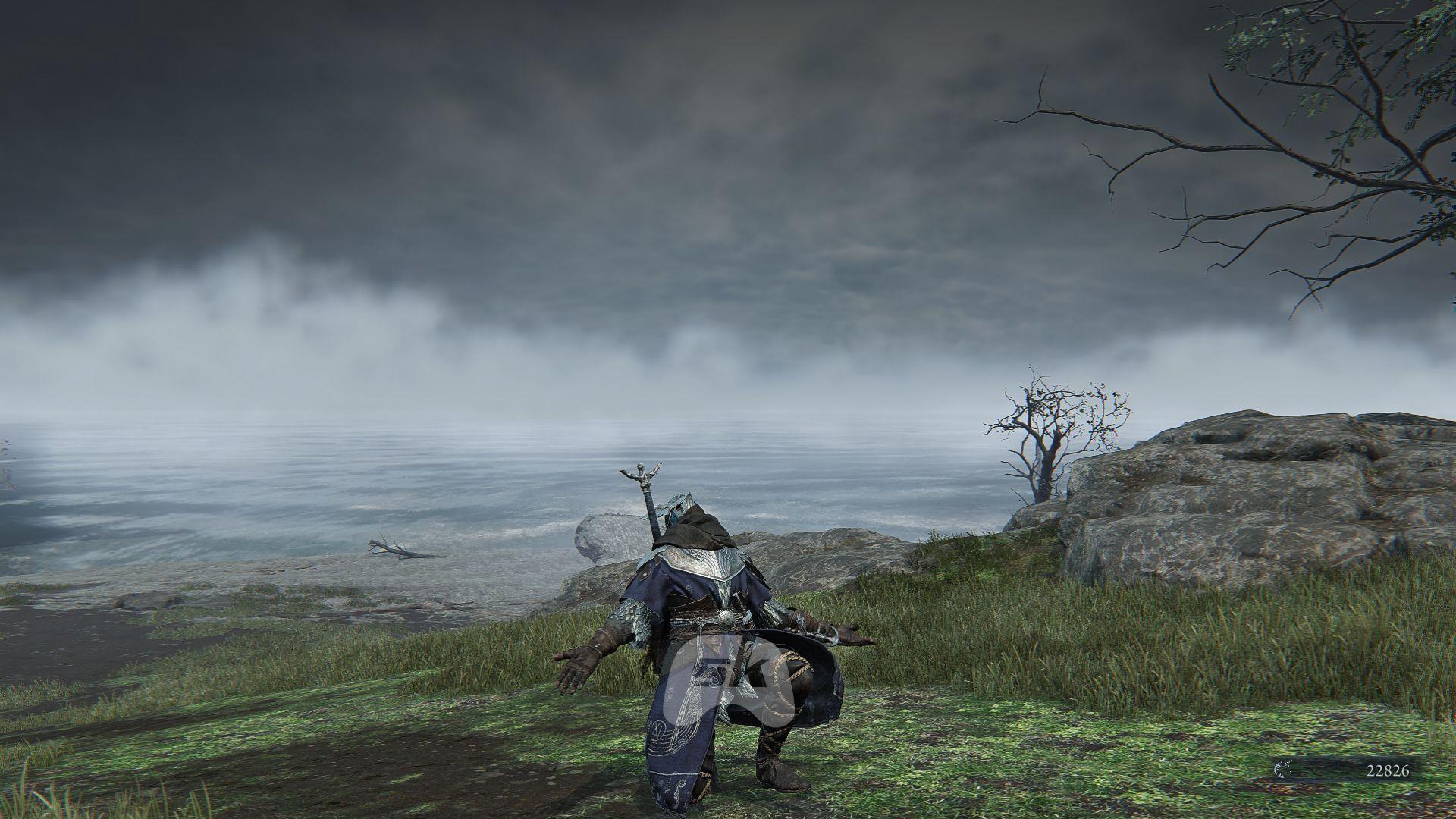 A guide on how to use emotes in Elden Ring Nightreign