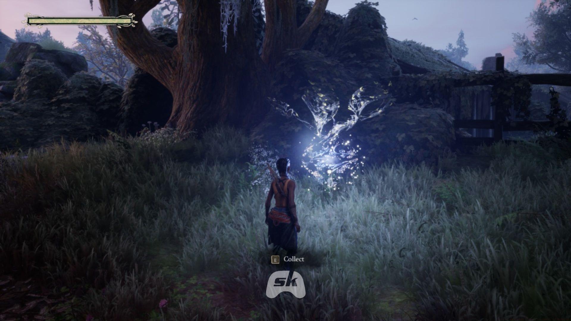 Floofs in South of Midnight