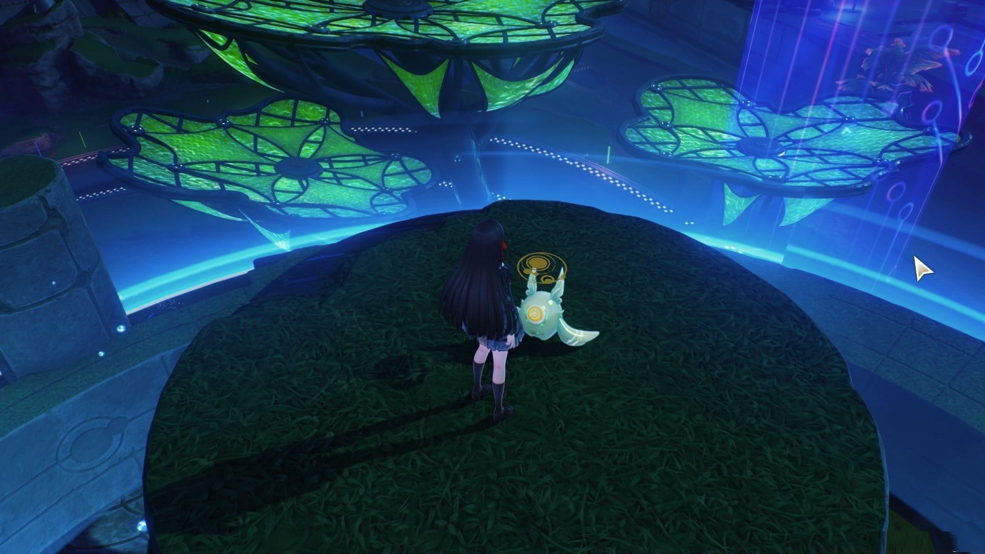 All Soliskin locations in Rebirth Uplands (Image via Kuro Games)