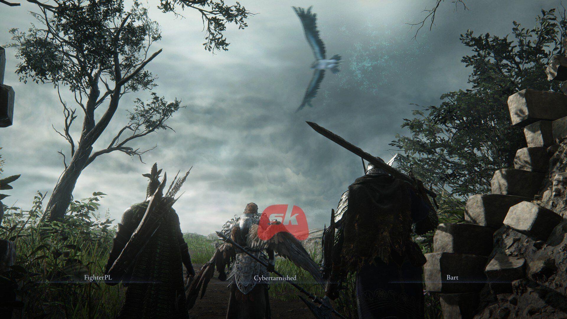 A guide to level up fast in Elden Ring Nightreign (Image via Sportskeeda Gaming //FromSoftware)