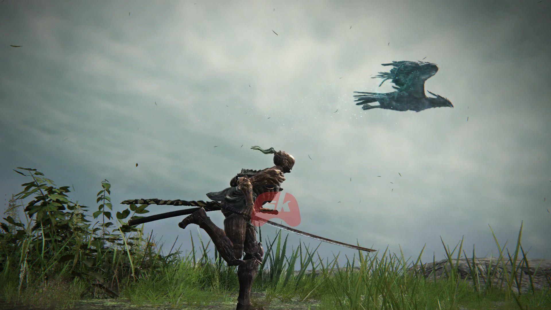 Elden Ring Nightreign solo