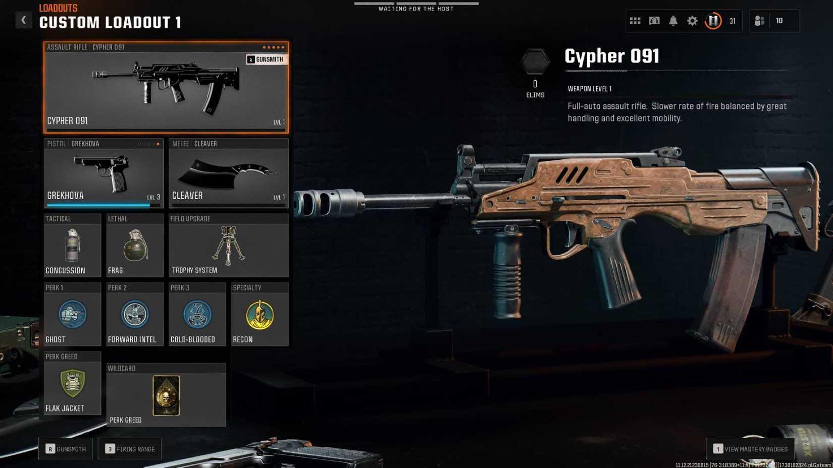 Best Cypher 091 loadout, class build in Black Ops 6