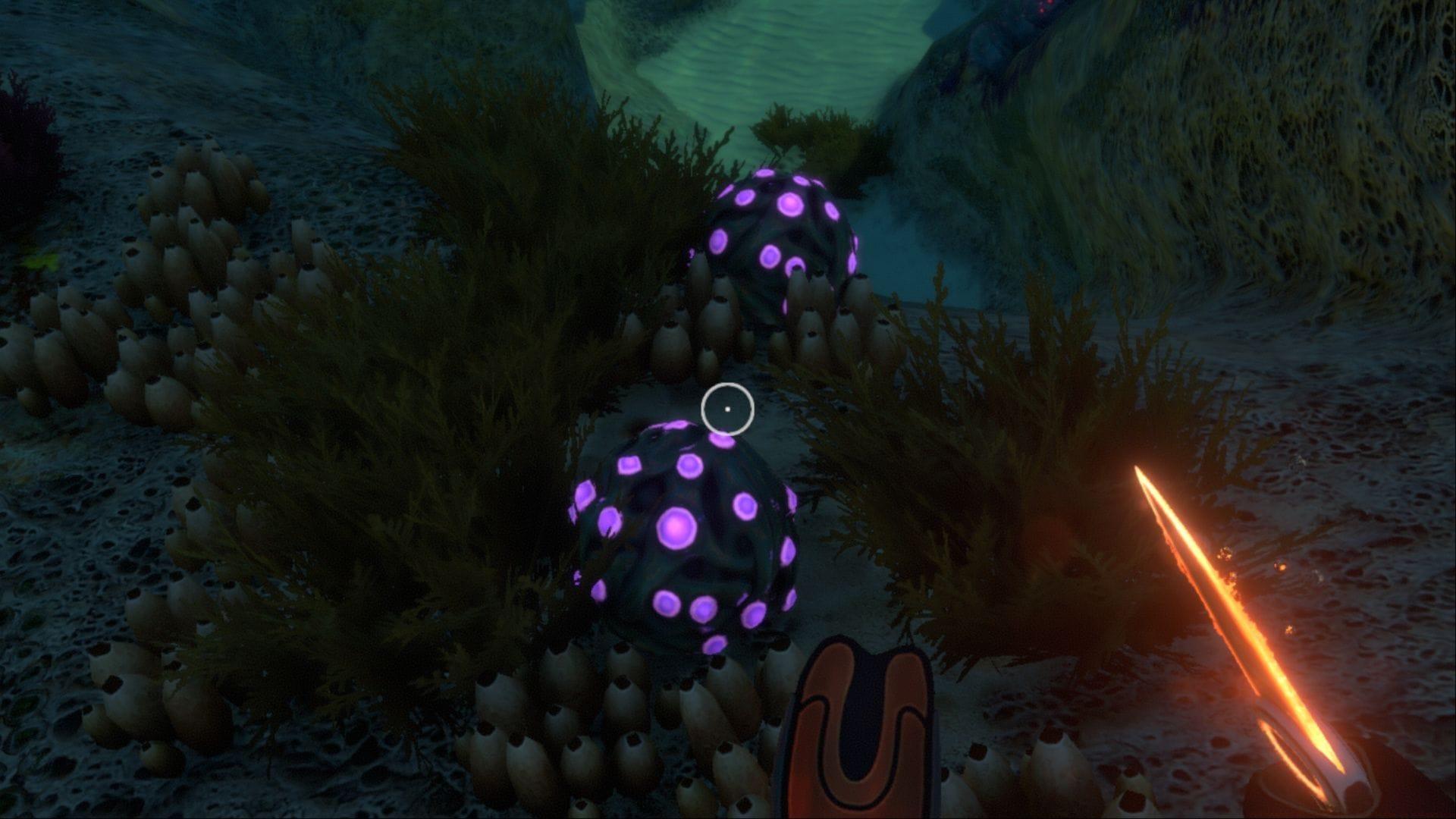 Subnautcia Gel Sacks