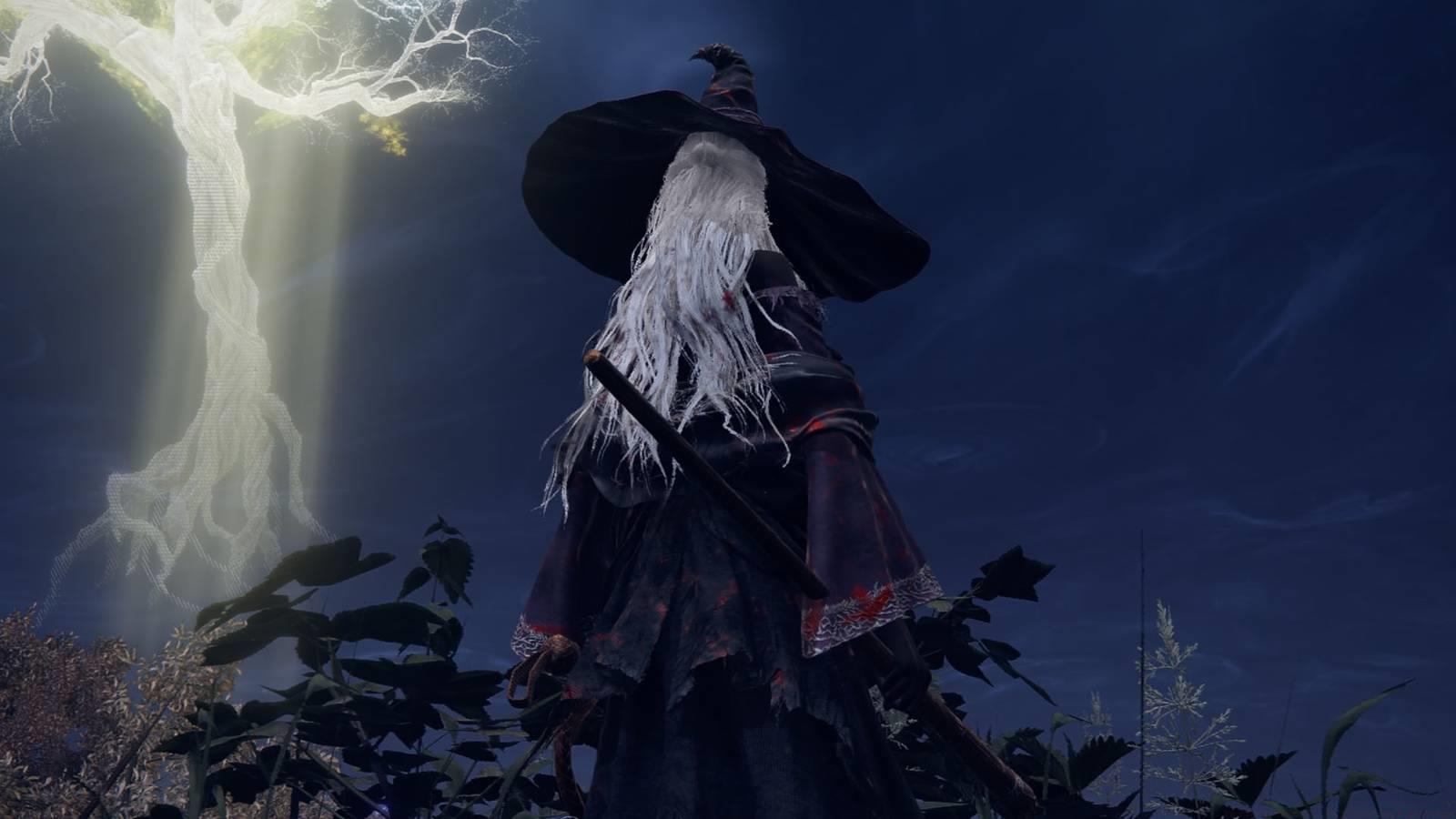 An Elden Ring Nightreign screenshot showing the Recluse, one of the Nightfarers. It’s character who resembles a witch. They are facing a golden glowing tree in the air.