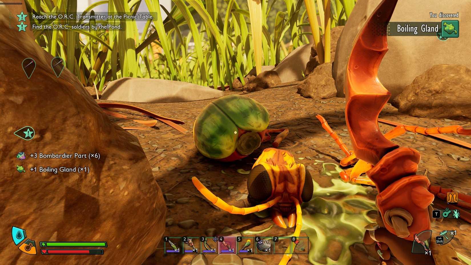 A defeated bombardier bug yielding parts and boiling gland in Grounded 2