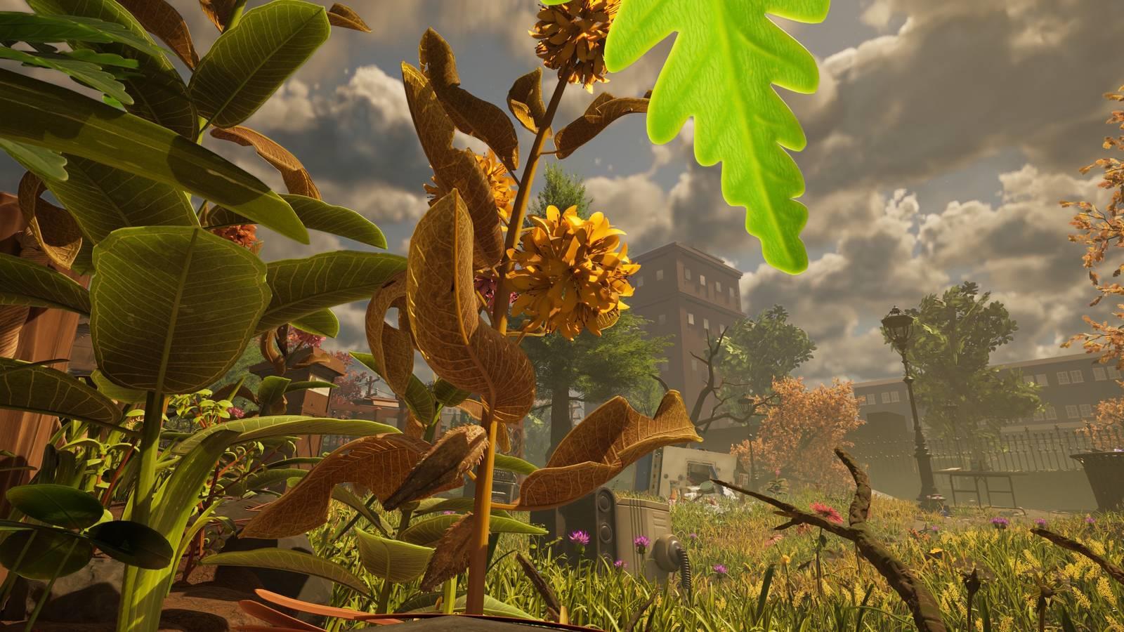 A single milkweed stalk sprouting in Grounded 2