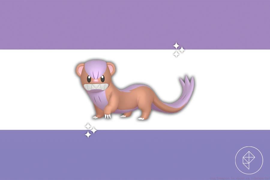 jlee_250127_1001_pogo_shiny_yungoos