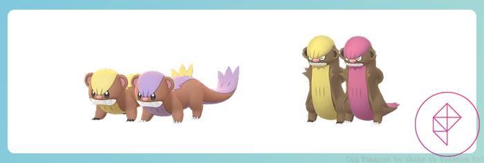 Yungoos and Gumshoos with their Shiny forms. Shiny Yungoos' yellow fur turns lavender and Shiny Gumshoos' yellow fur turns pink.