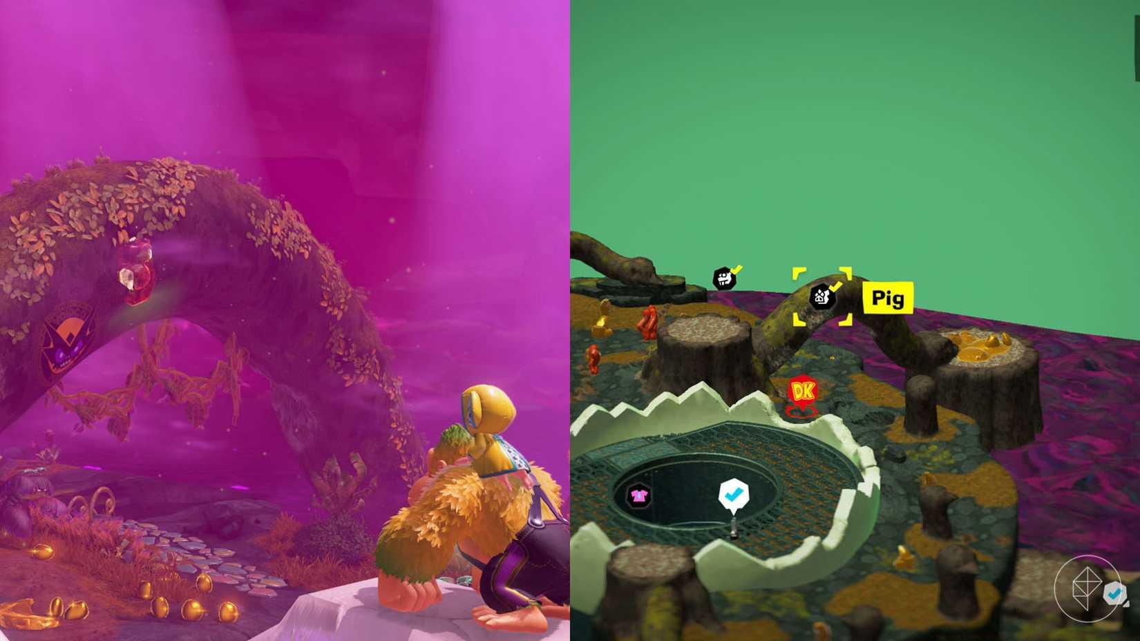 DK sees a red fossil on the neck of an arched ostrich