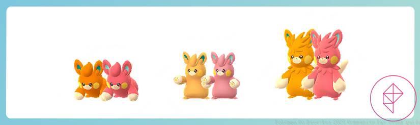 A shiny comparison for Pawmi, Pawmo, and Pawmot in Pokémon Go. All three shinies turn pink