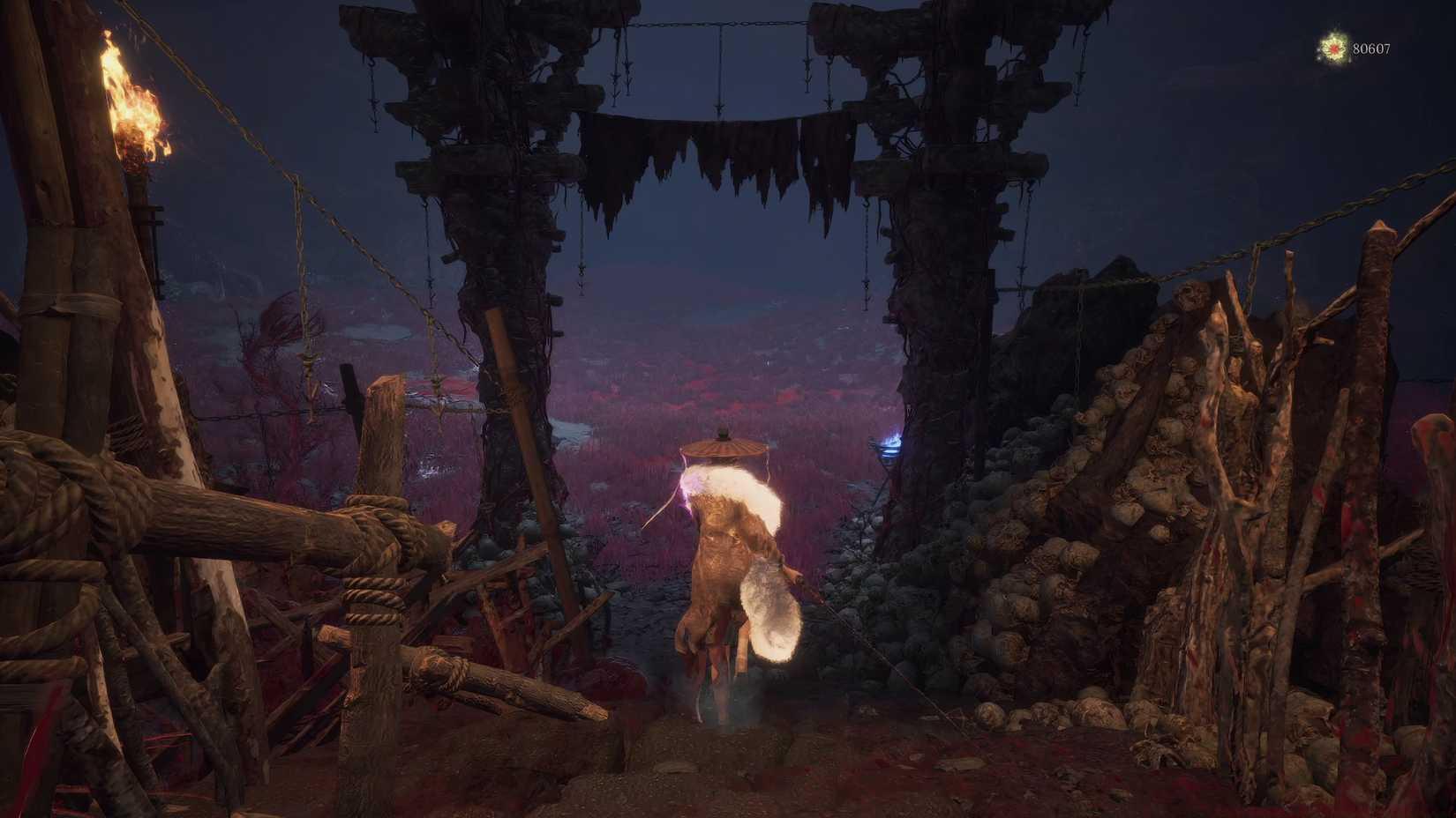 Running into the Boss Arena for Bo Magus.