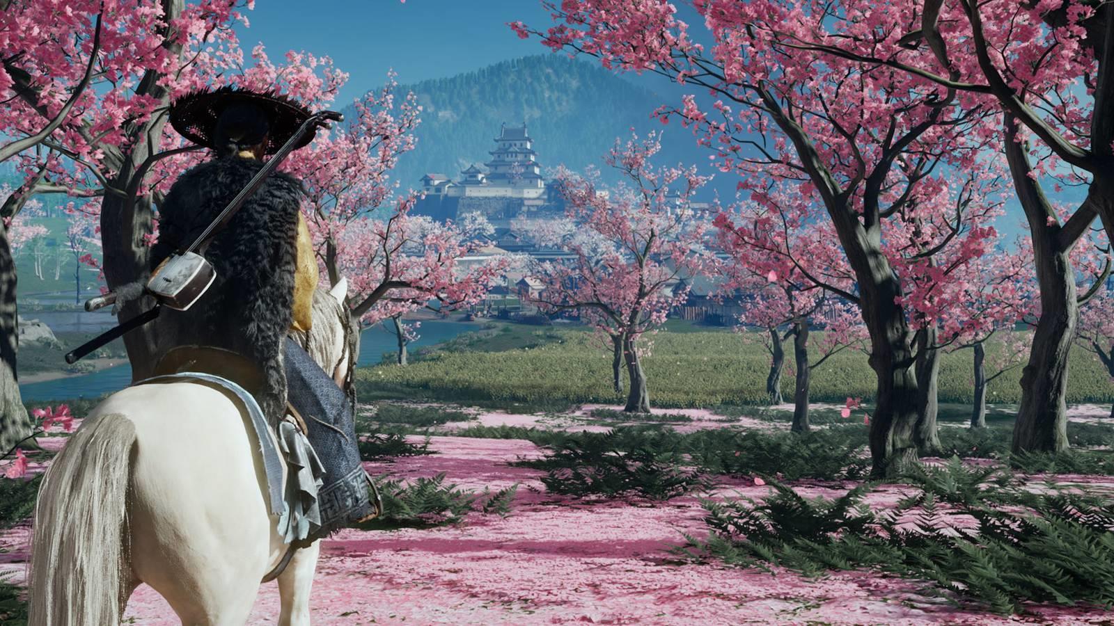 A woman riding a horse next to sakura trees. The ground is covered with pink petals from the trees' floweres